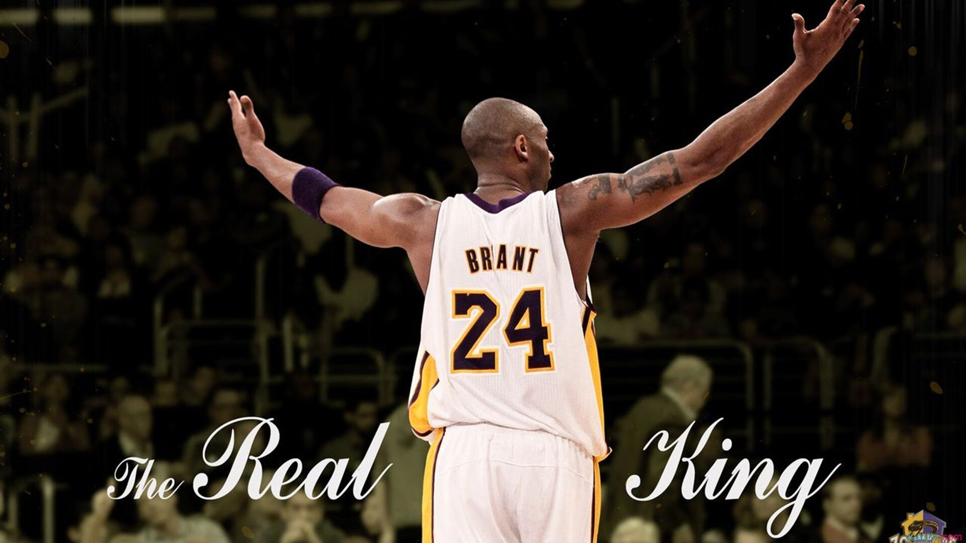 “冠军潜力股崭露头角，打造本赛季最爆款赛事”，冠军赛区