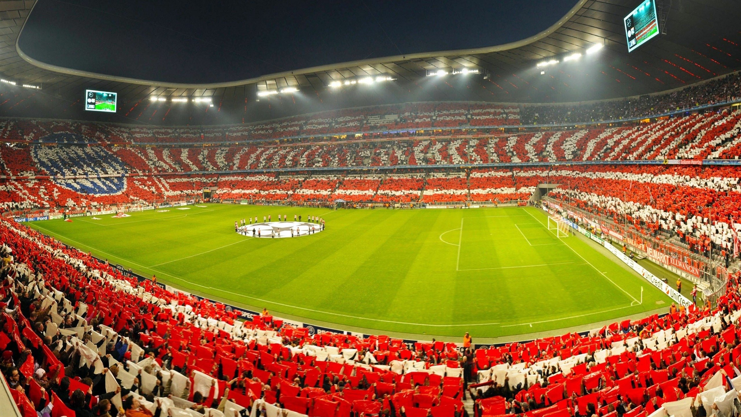 浮潜海底漂流：海底世界的奇妙冒险，浮潜介绍